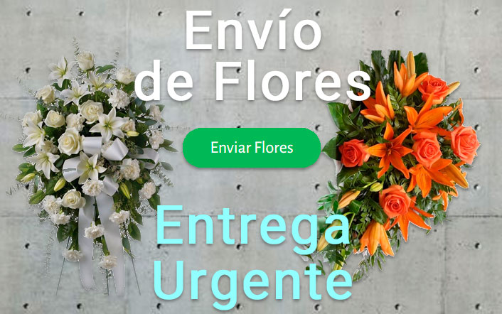 Envio de flores urgente a Tanatorio León